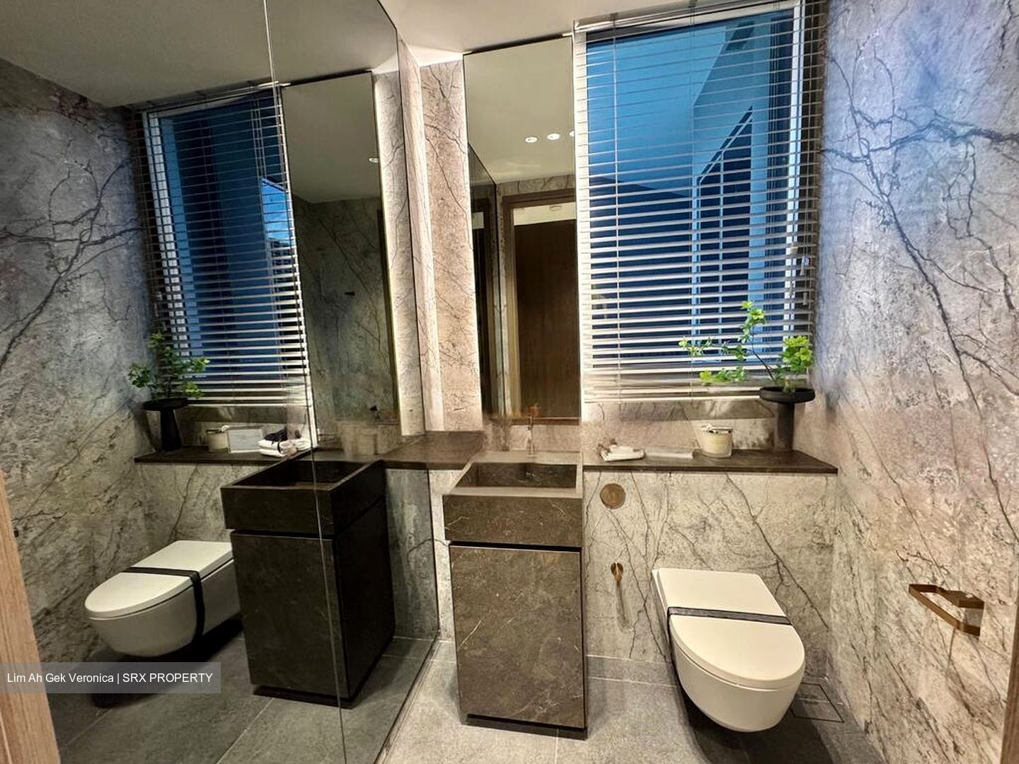 Zion Road (D3), Condominium #469112501